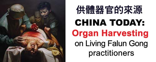 banner-Organ_54x135